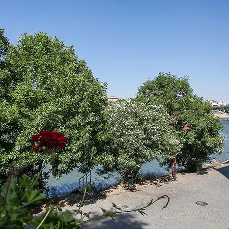 Sevillahome - Bonito Piso Junto Al Rio Apartment Seville
